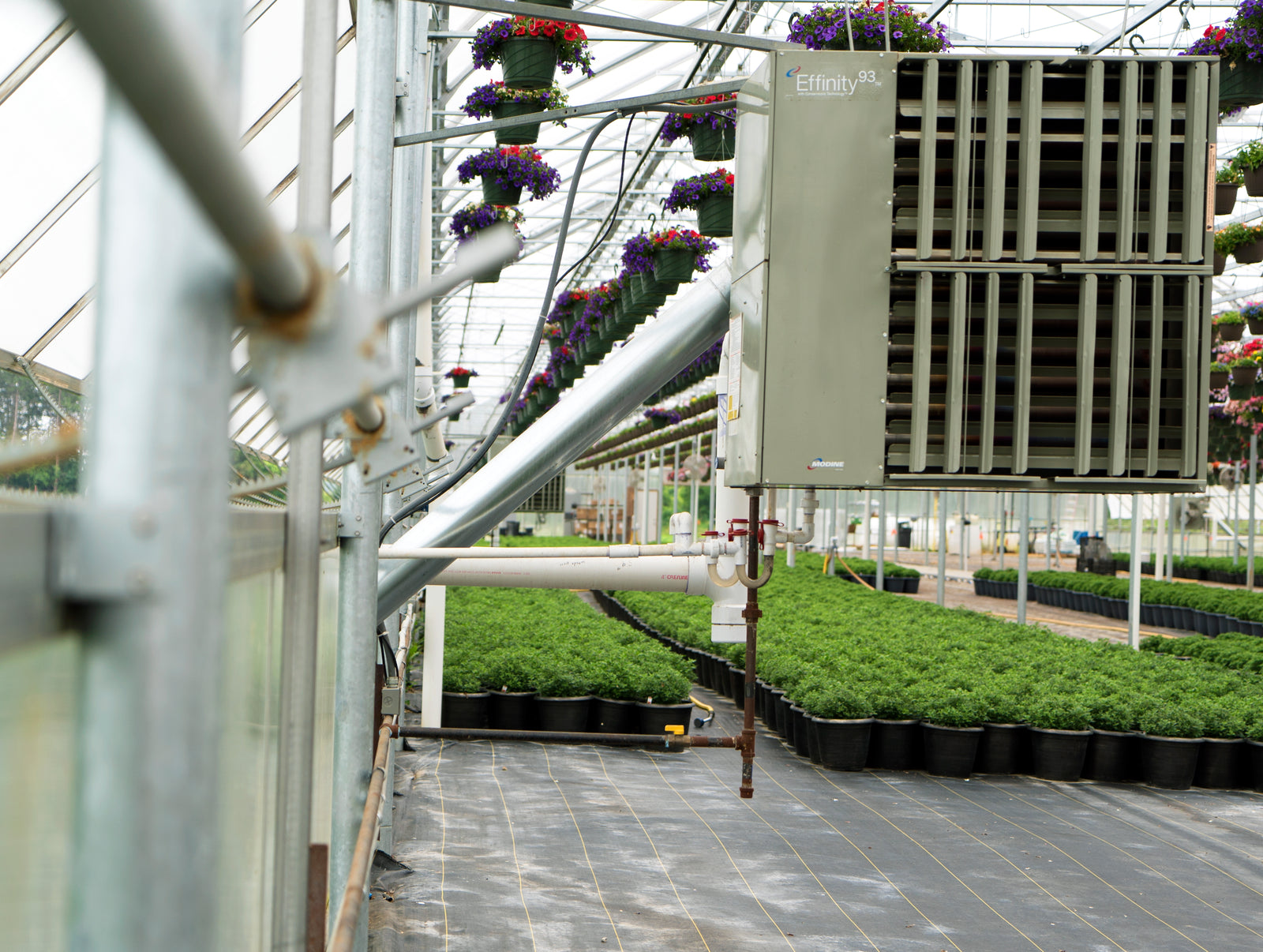 The Greenhouse Advantage: Why Modine Heaters are a Must-Have