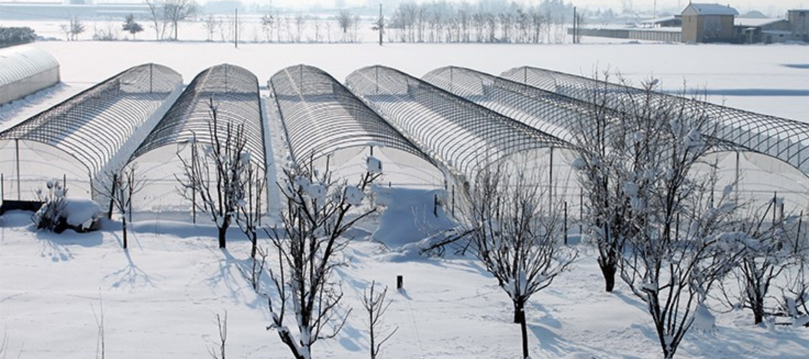 The Essential Greenhouse Owner's Guide: Why You Need a Greenhouse Repair Kit