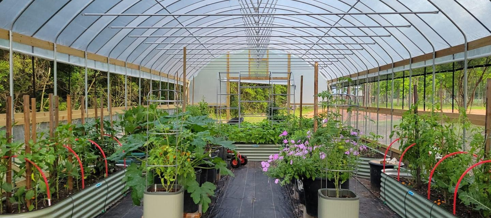 8 Things You Should Consider Before Purchasing Your Greenhouse