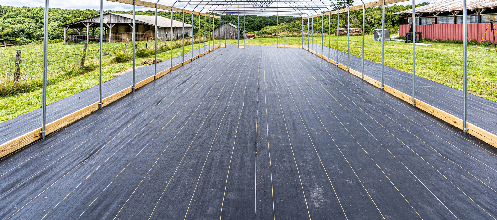 The Benefits of Using Ground Cover in Gardens and Greenhouses