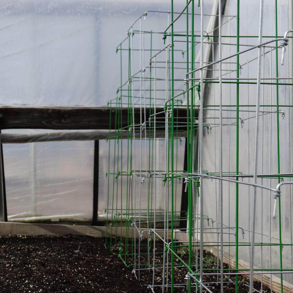 58&quot; Tomato Cages