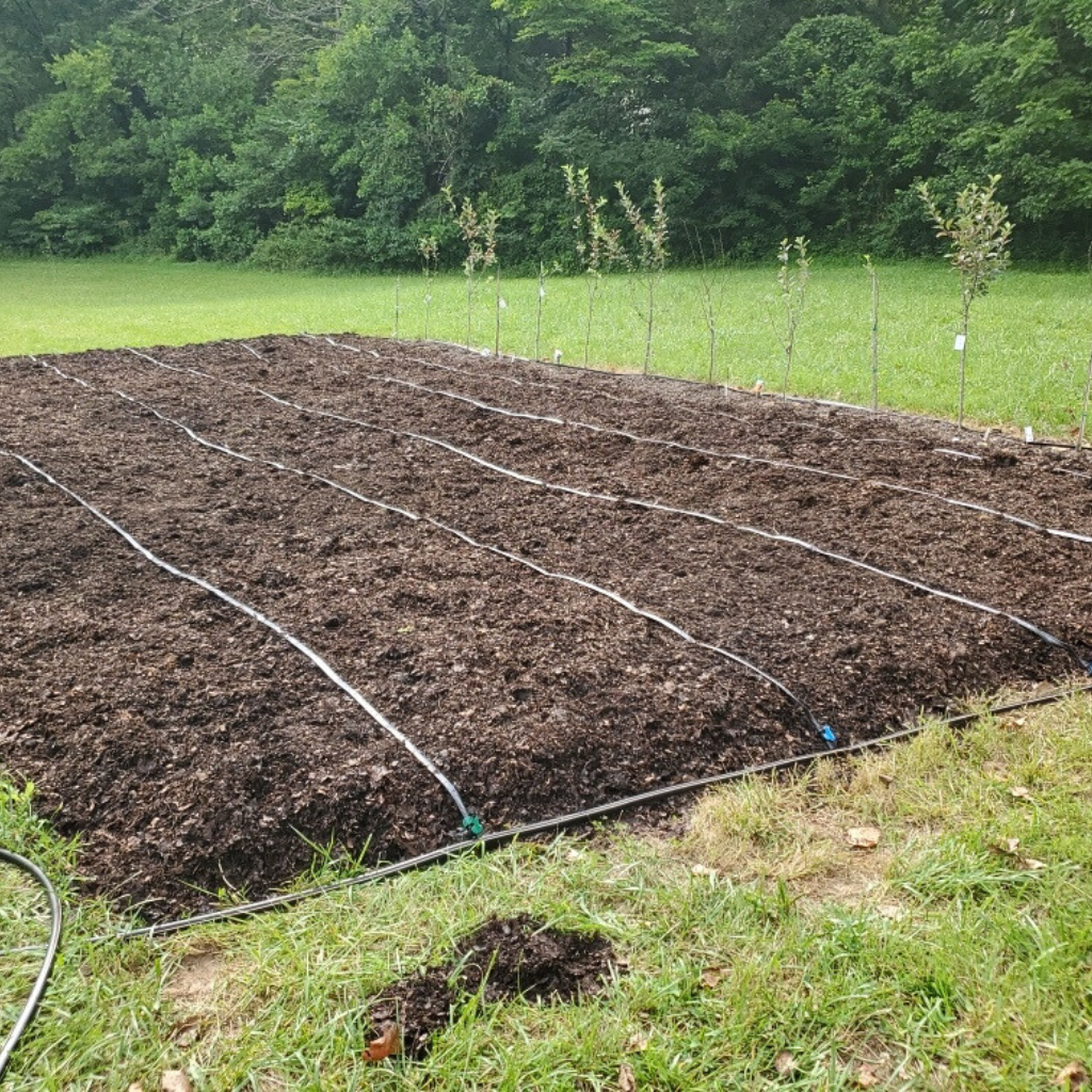 Master Gardener Kit - 20 Row