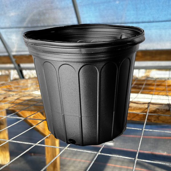 5 Gallon Full Black Nursery Pots