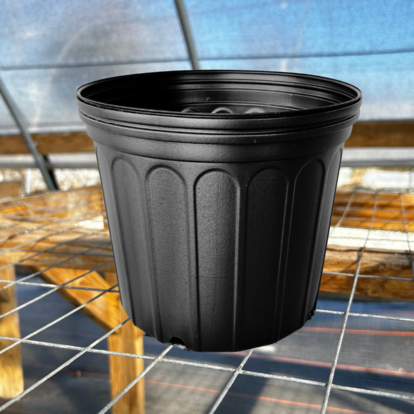 3 gallon pots for plants 3 Gallon Trade Black Nursery Pots