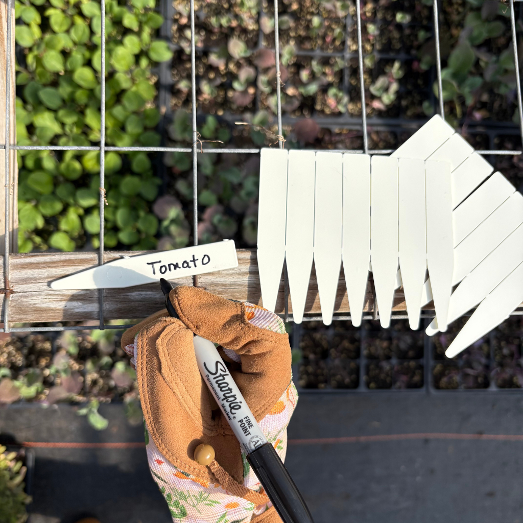 White Plastic Labels