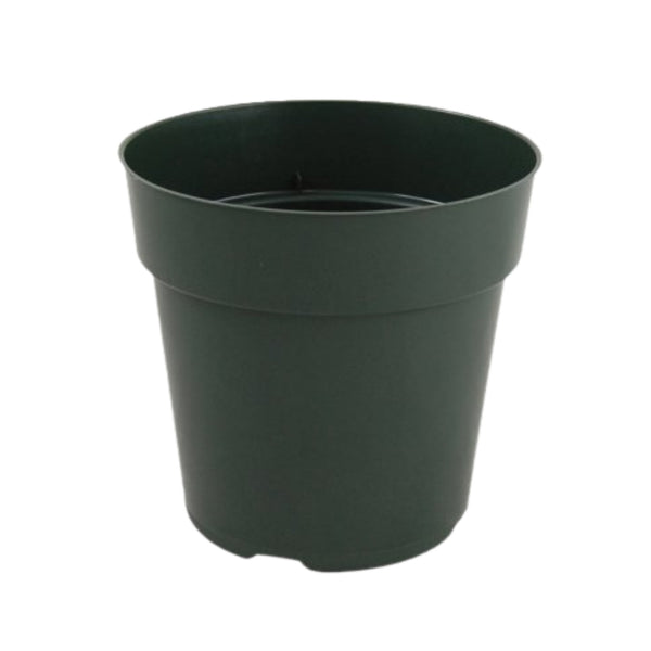 6 inch plant pot with drainage 6" Standard Pots