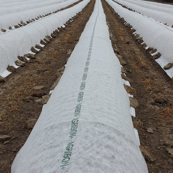 Agribon 50 2025 frost blanket