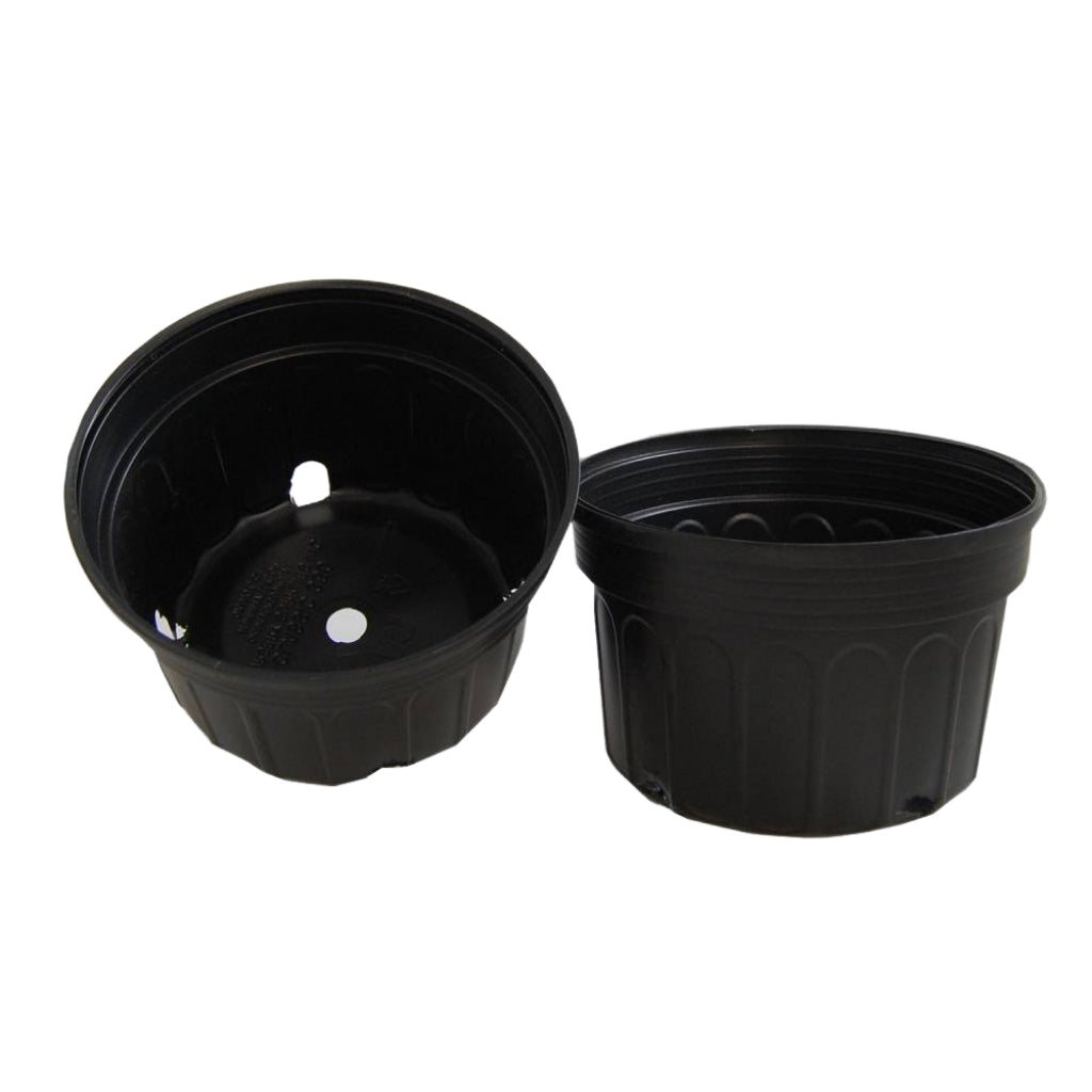8 x 5 inch Black Mum Pots - Volume Pricing Available