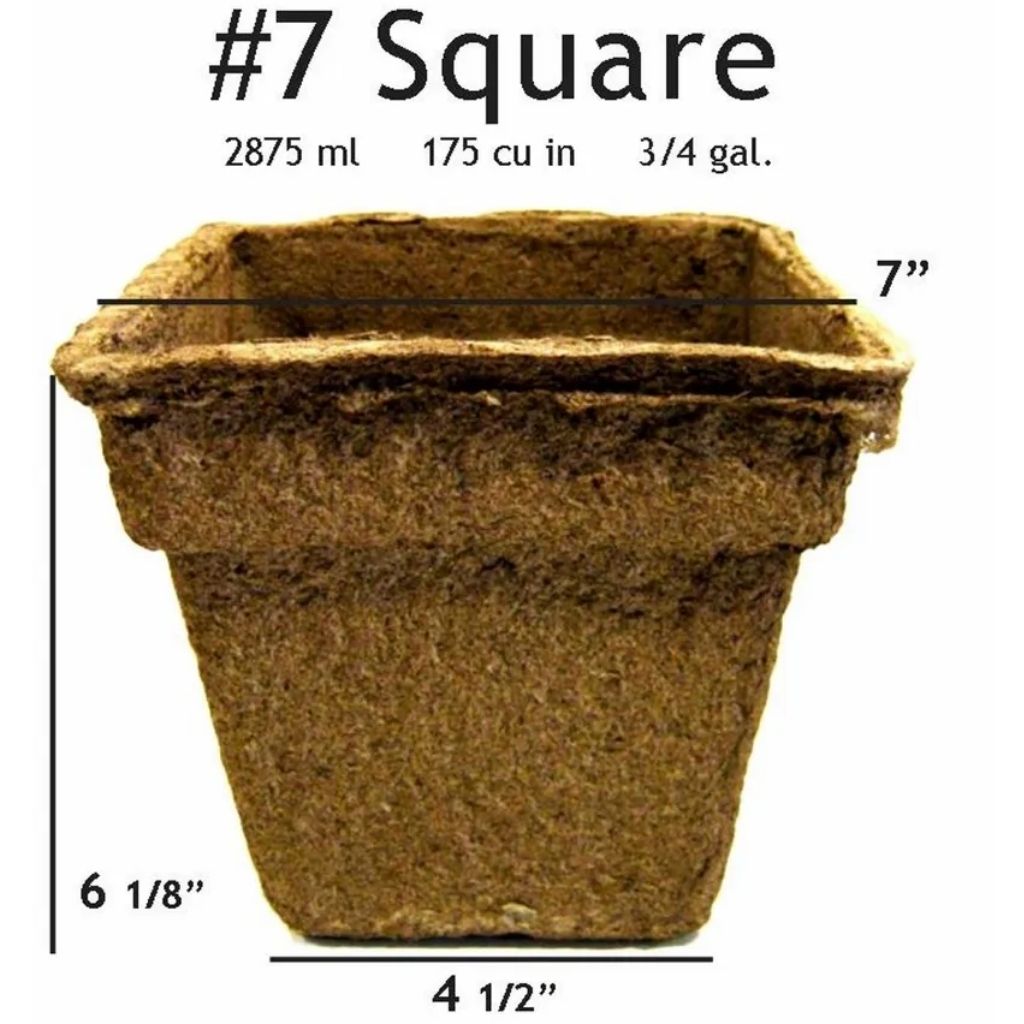 7" Square CowPots