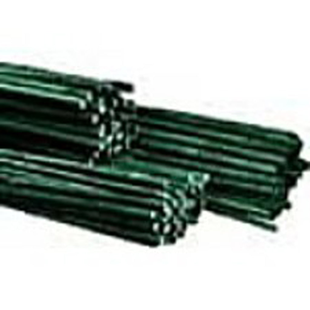 Green Dyed Bamboo Canes Large Sizes