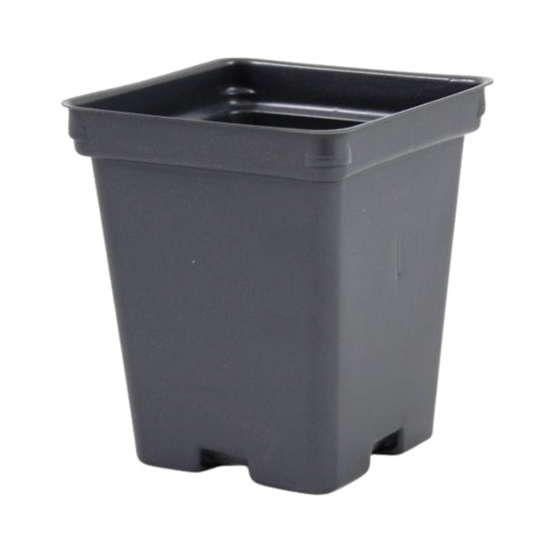 small plastic square pots for plants 4.25" Black Deep Square Pots - P107D