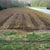 Truck Farmers Garden Kit - 40 Row Drip Irrigation System