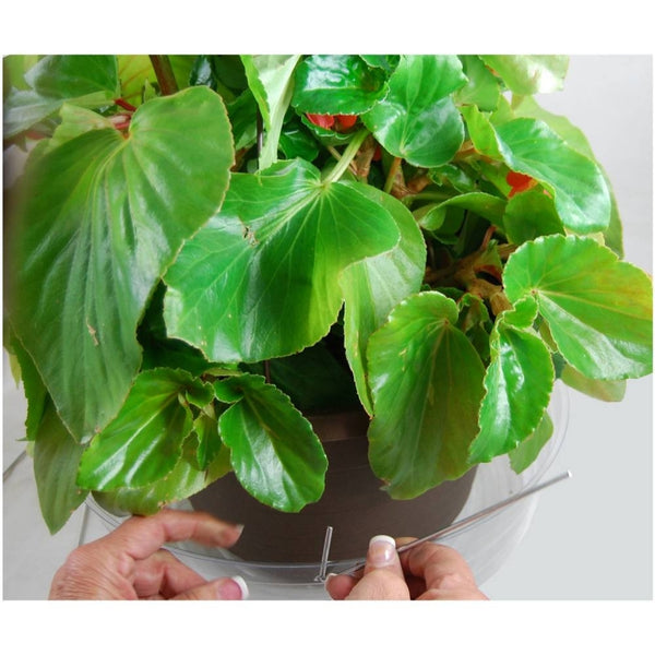 Large Hanging Basket Drip Pan 12 Inch Clear Vinyl Grower's Solution