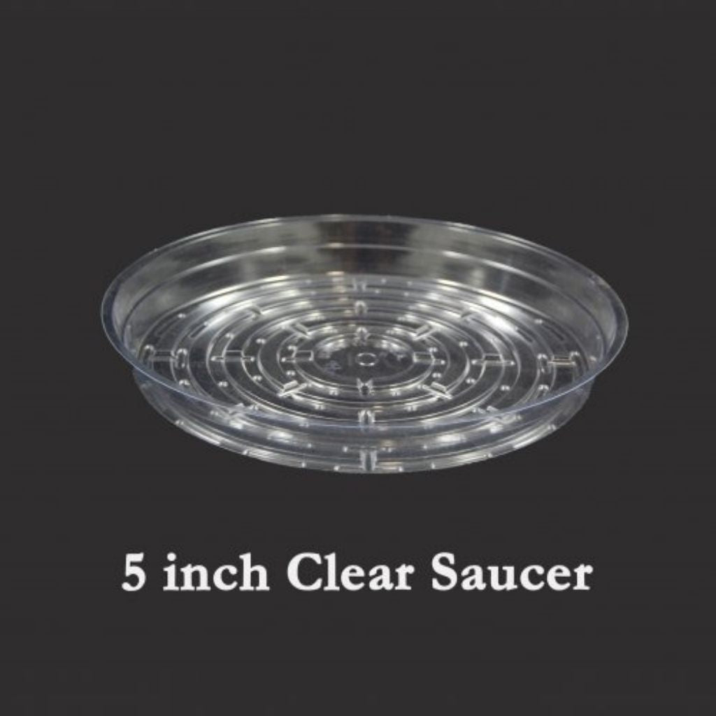 5&quot; Clear Vinyl Plant Saucers - Curtis Wagner