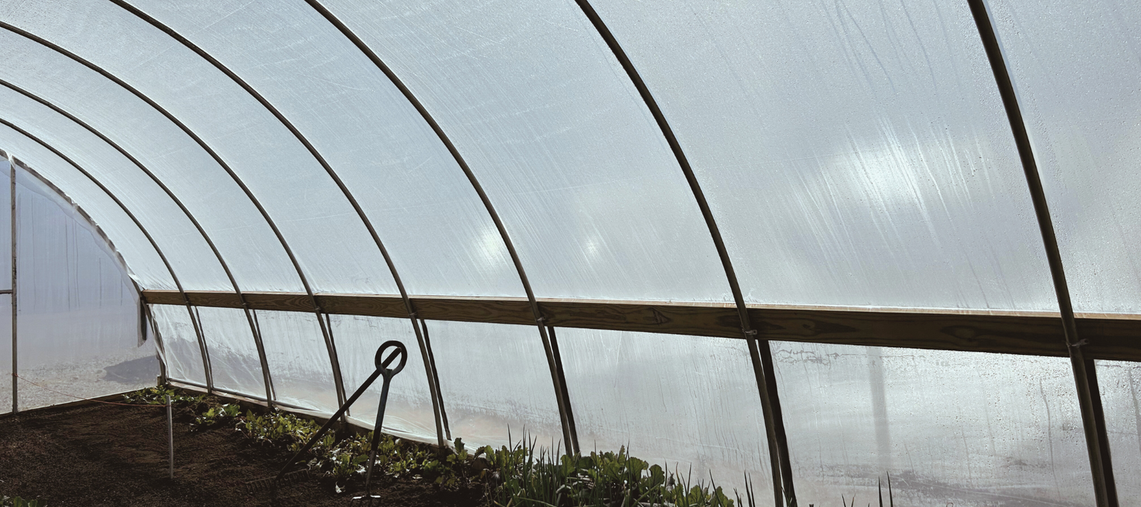 Lets Have A Conversation About Condensation!