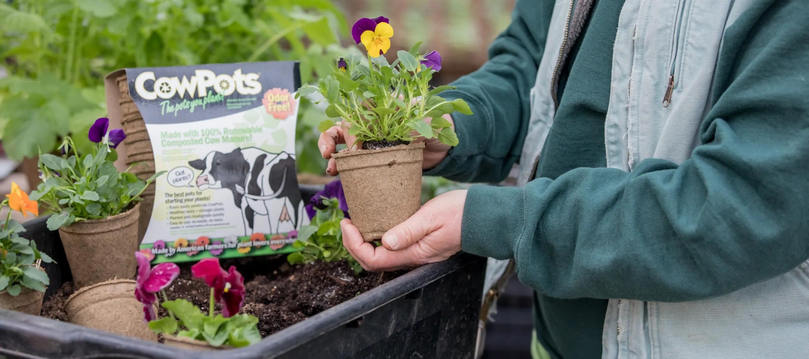 What's The Scoop On Cow Poop? CowPots 101