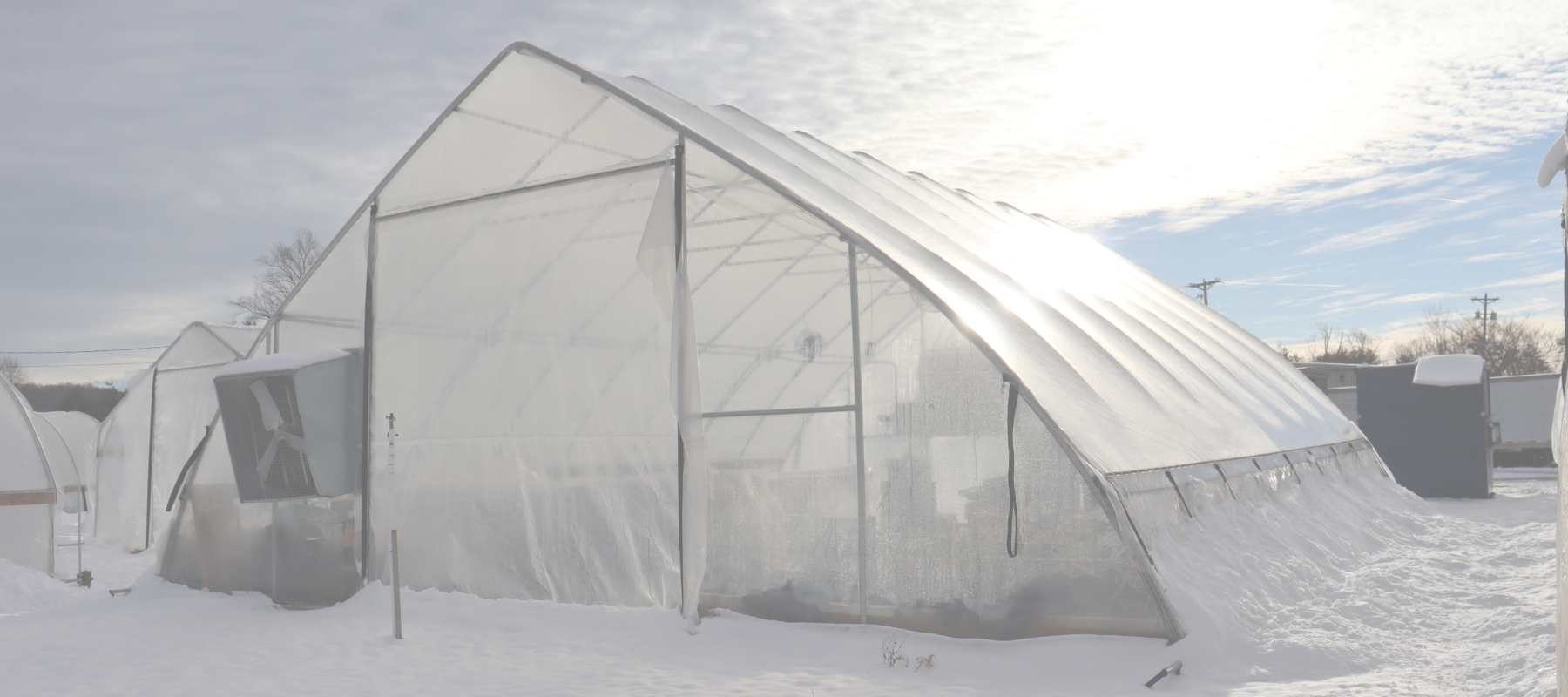 How to Protect Your Greenhouse During an Ice Storm Without a Heater