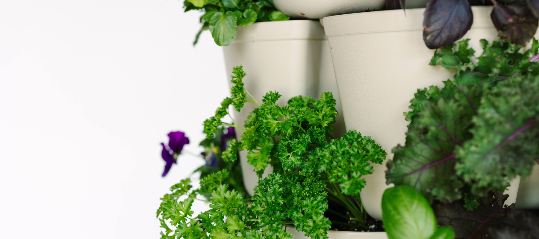 Grow More in Less Space: The Benefits of Vertical Gardening with GreenStalk Vertical Planters