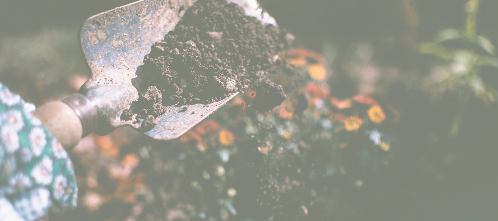 Choosing The Right Ground Cover - Polypropylene VS Ultraweb