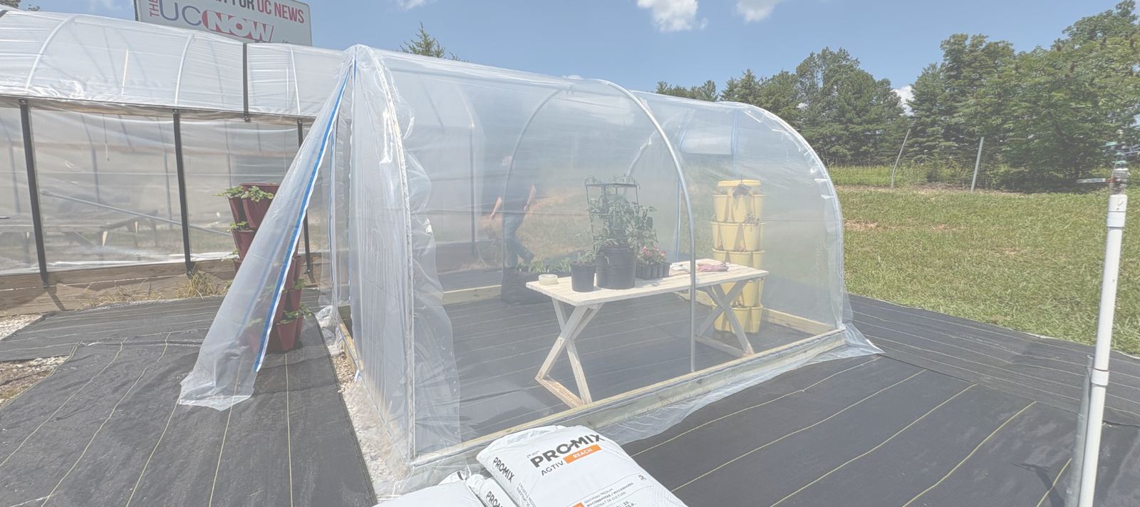 Discover the Cove: A Shelter in the Garden