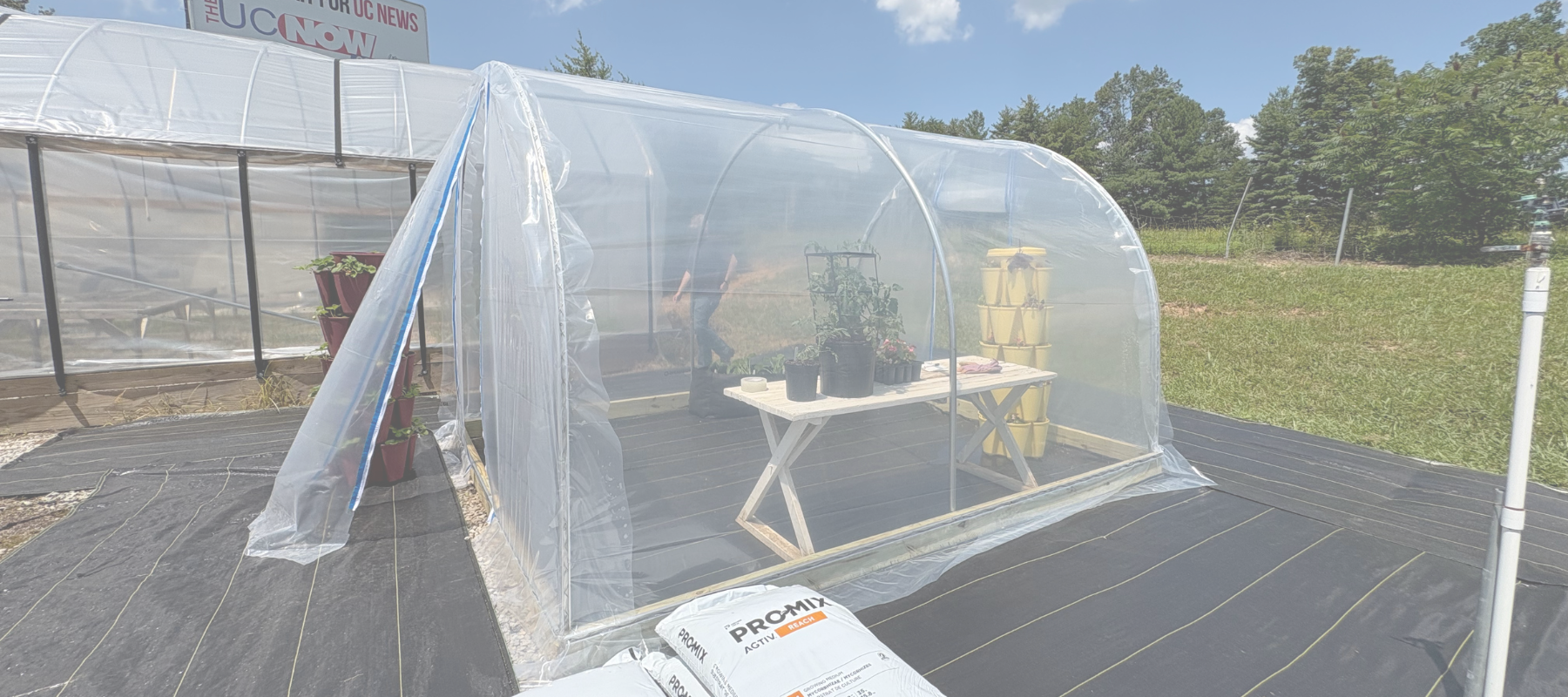 Discover the Cove: A Shelter in the Garden