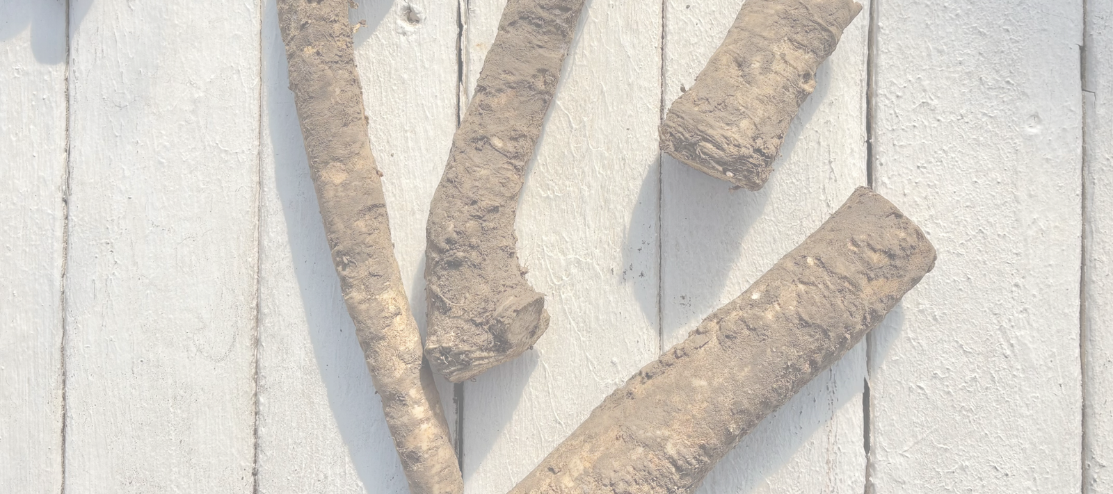 Horseradish Planting Instructions