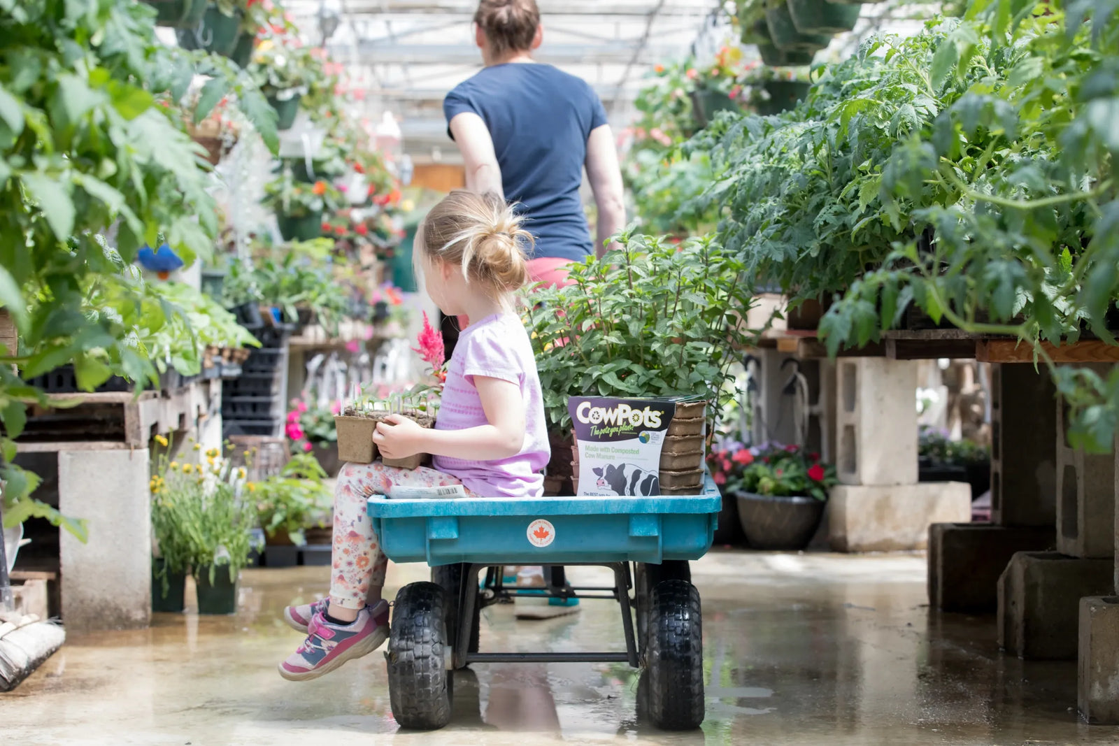 As easy as 1, 2, 3 Helpful Tips For CowPots!