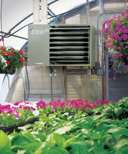 How to Know if Your Greenhouse Needs a Heater