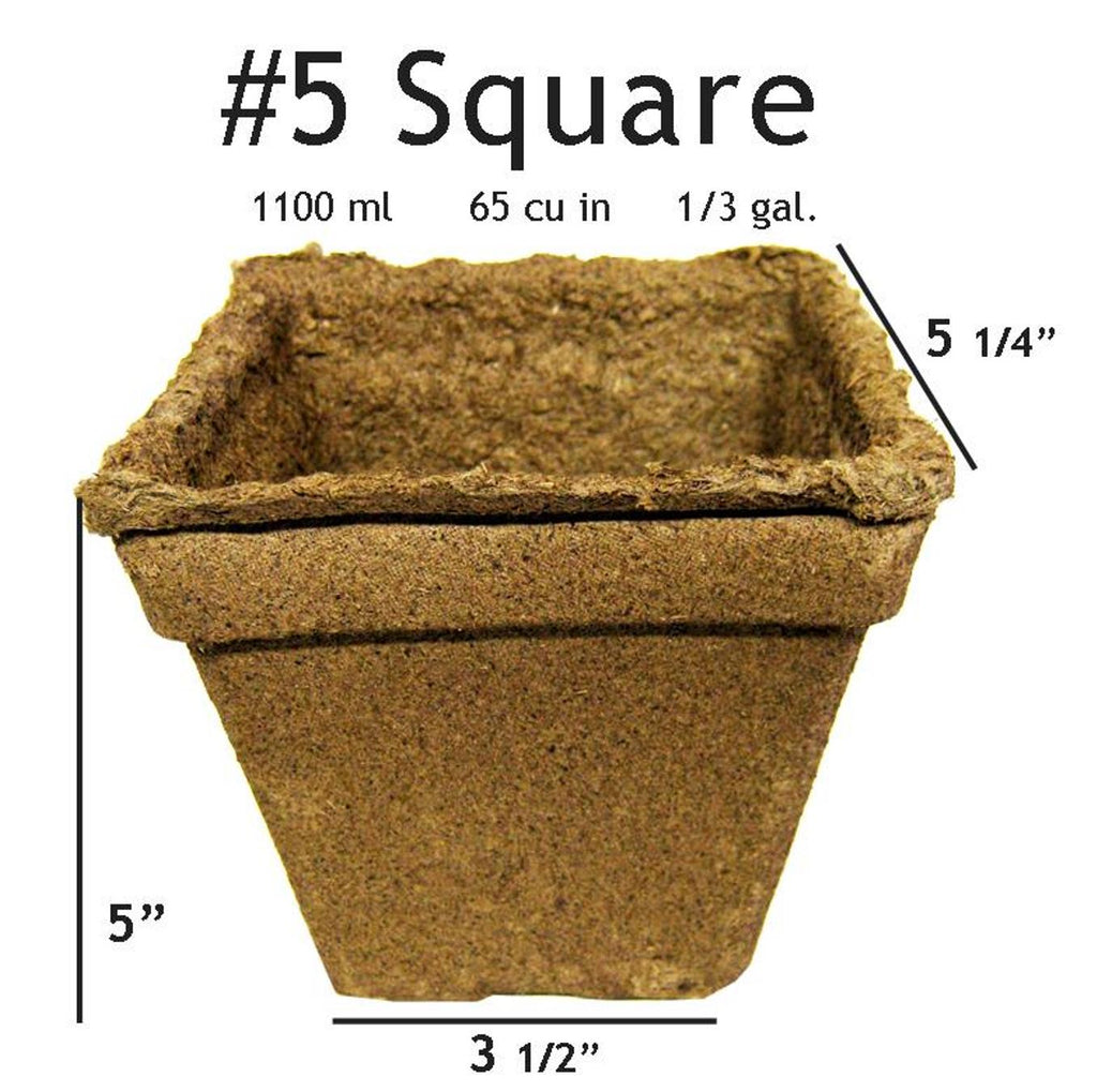 cow manure plant pots CowPots Biodegradable Planting Pots - 5" Square