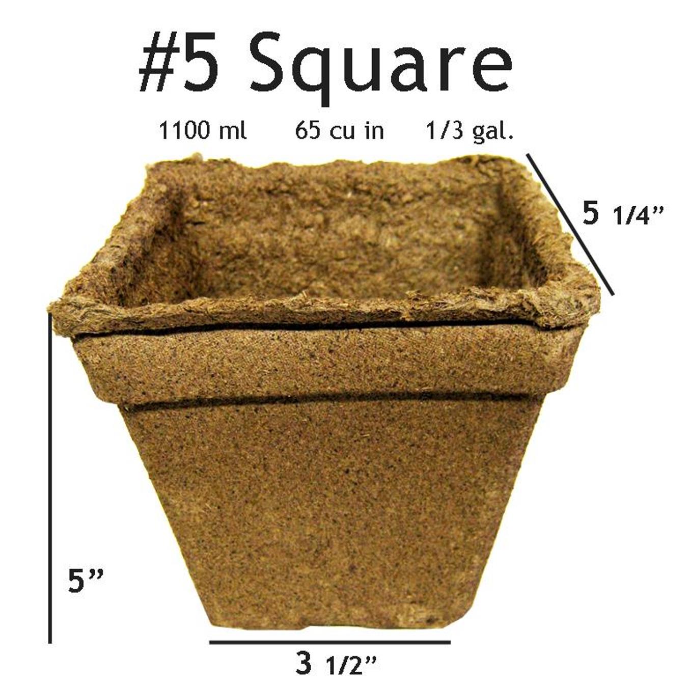 manure plant pots CowPots Biodegradable Planting Pots - 5" Square