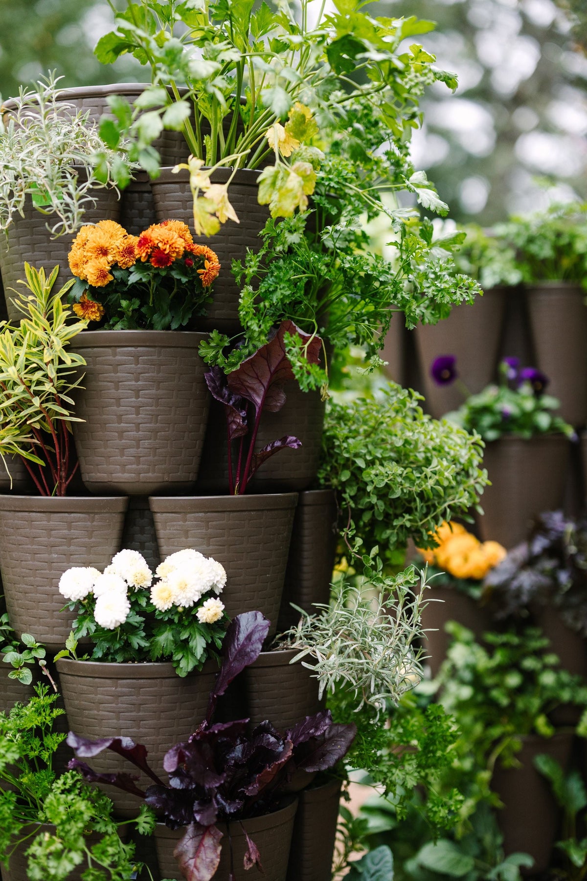 7 Tier GreenStalk Leaf Vertical Planter | Beautiful Black (Basket Weave Texture) (Copy) 