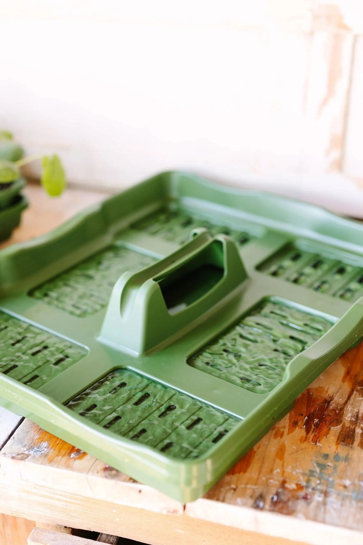 GreenStalk Seed Starter Kit with Domes | Evergreen 