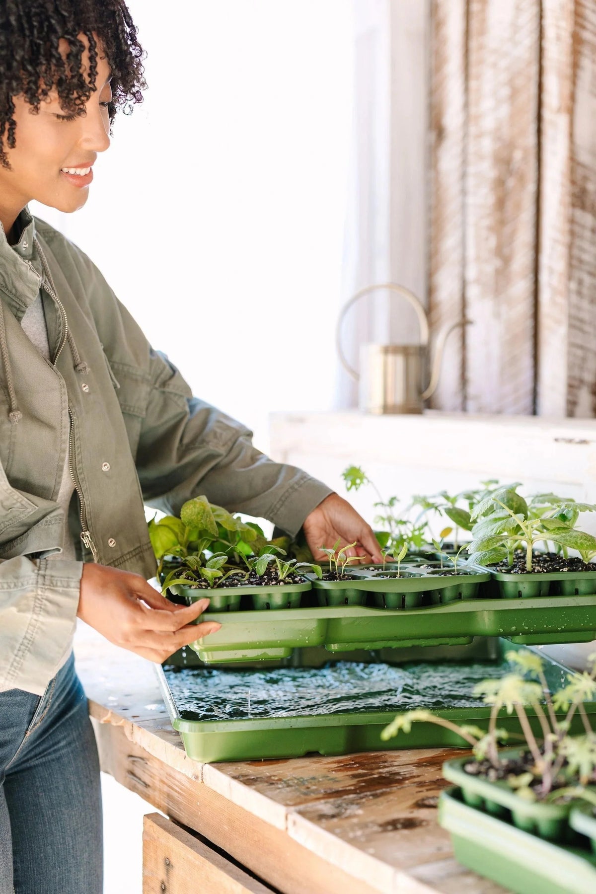 GreenStalk Seed Starter Kit with Domes | Evergreen 