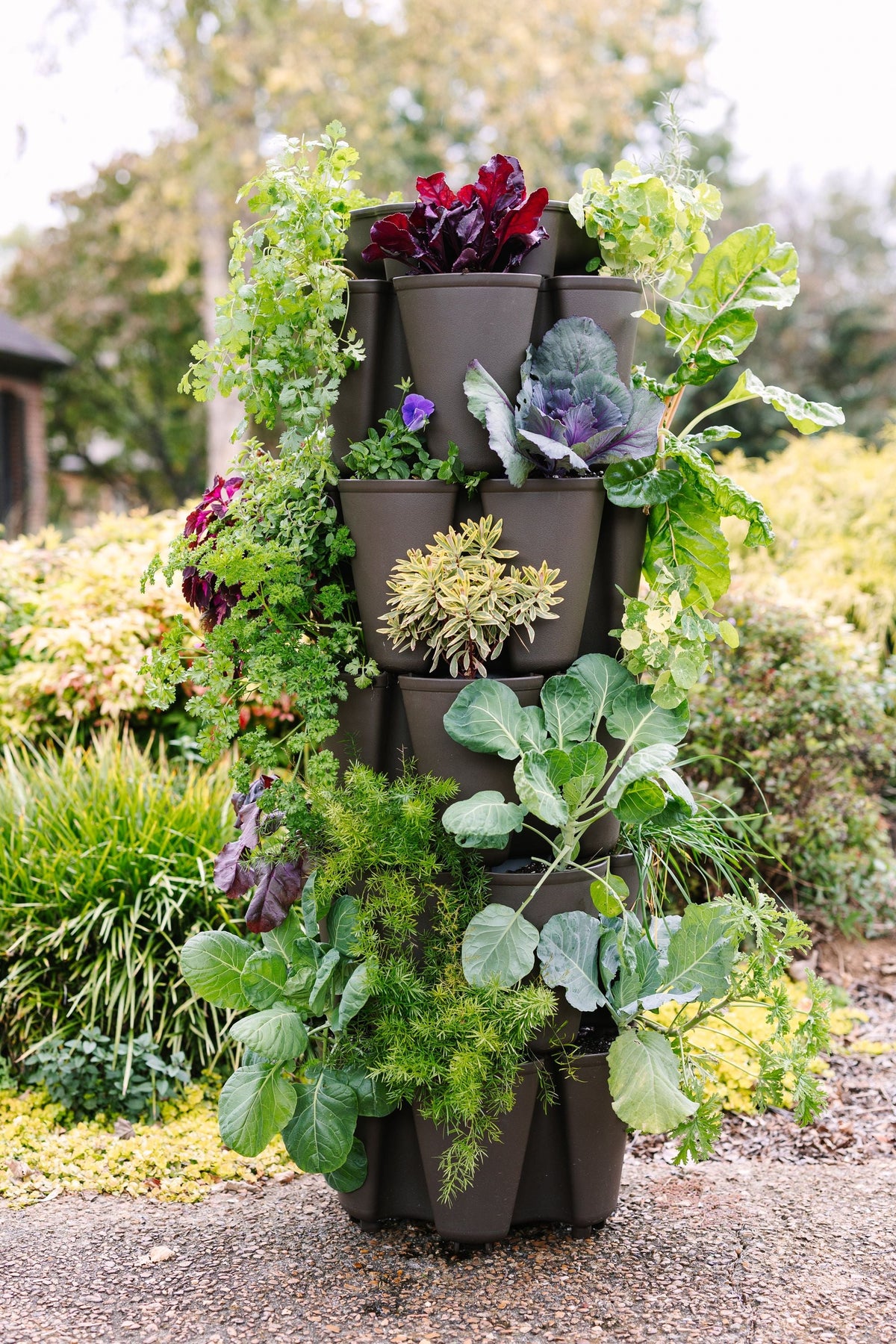 5 Tier GreenStalk Original Vertical Planter | Chocolate Brown (Basic Texture) 