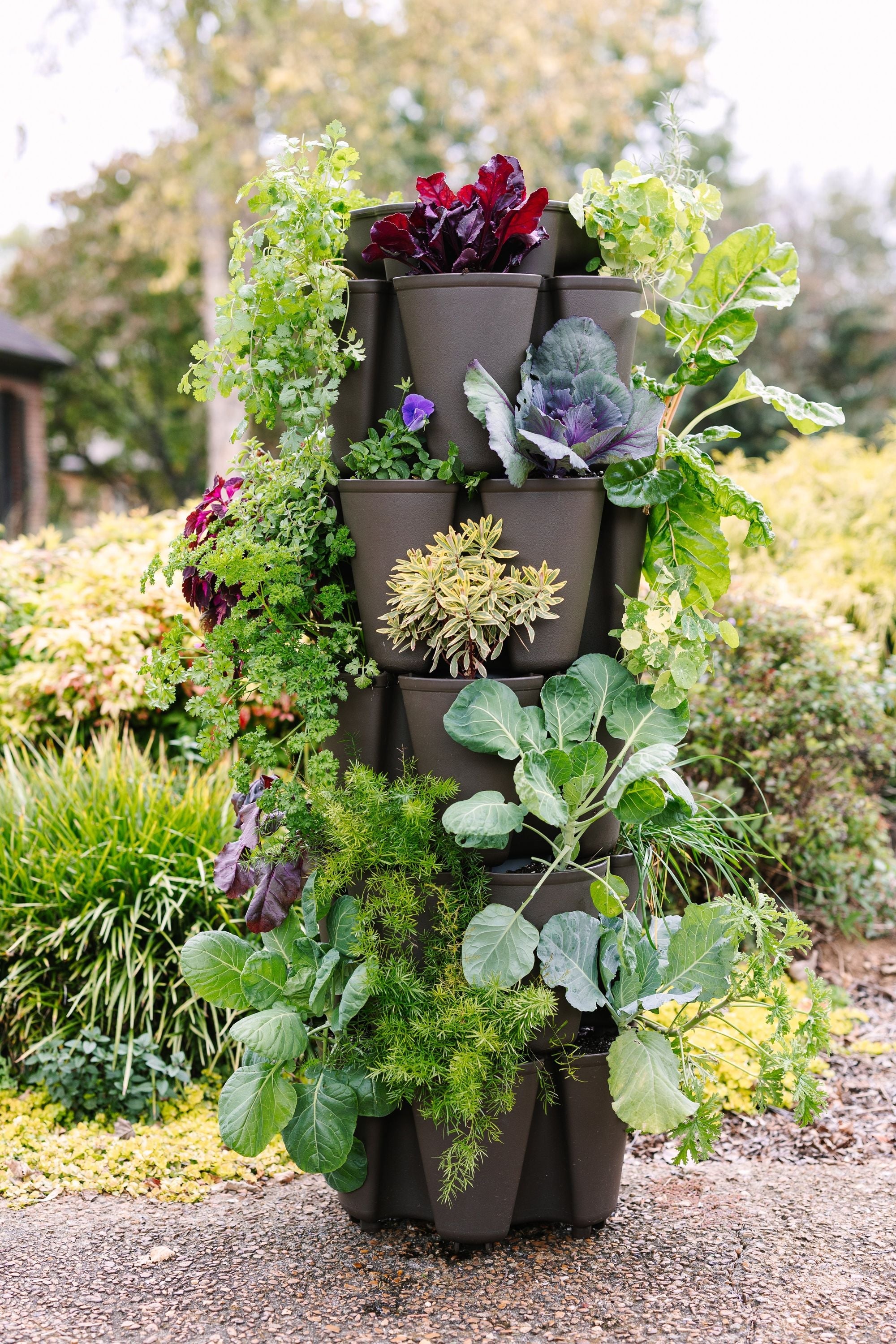 5 Tier GreenStalk Original Vertical Planter | Chocolate Brown (Basic Texture) 