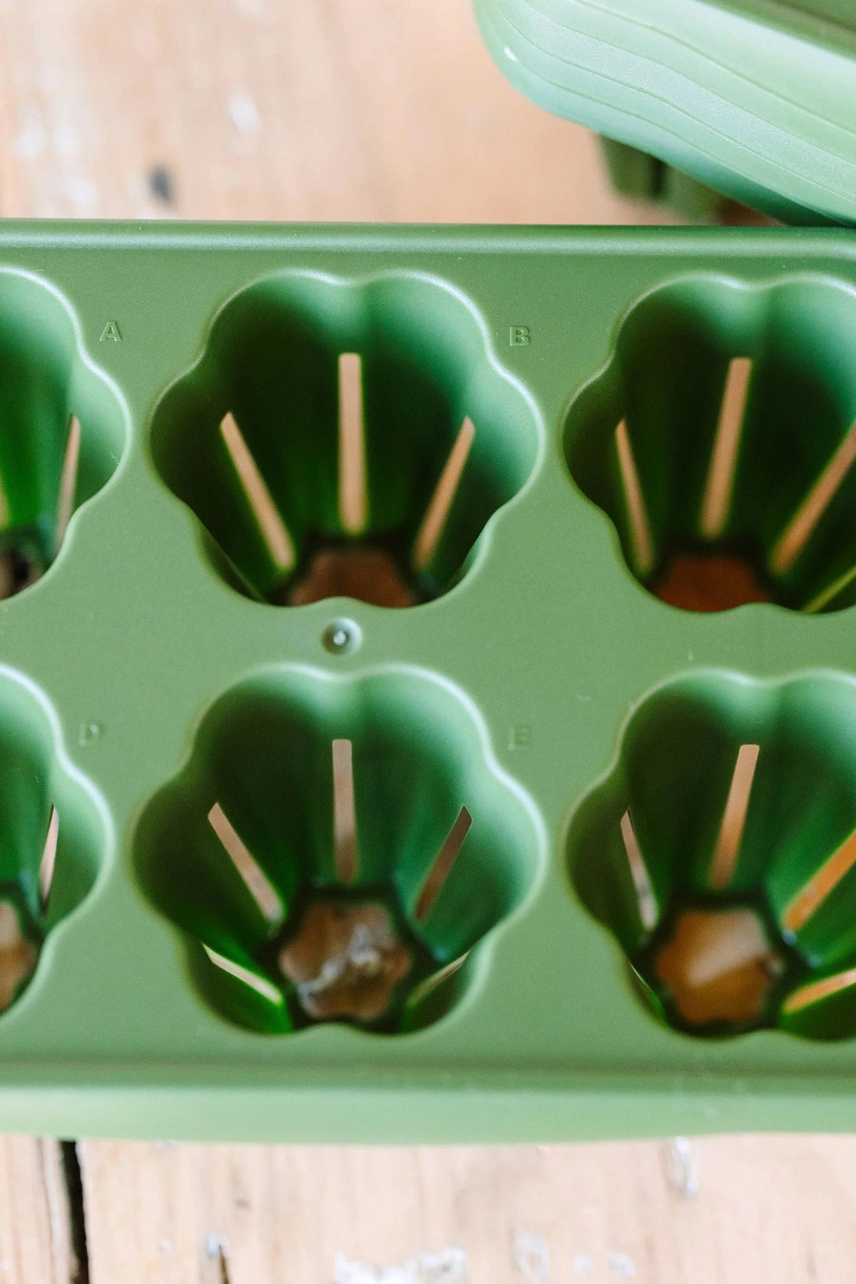 GreenStalk Seed Starter Kit with Domes | Evergreen 