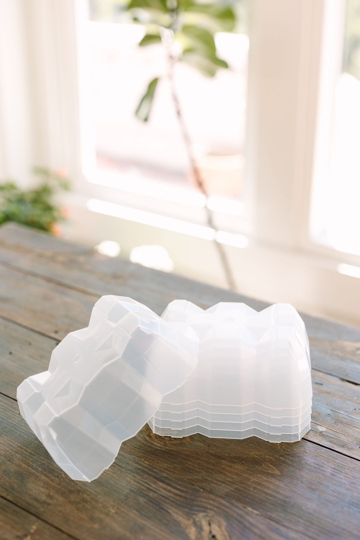 GreenStalk Seed Starter Kit with Domes | Blackberry 