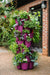 7 Tier GreenStalk Leaf Vertical Planter | Peppercorn (Basic Texture) (Copy) 