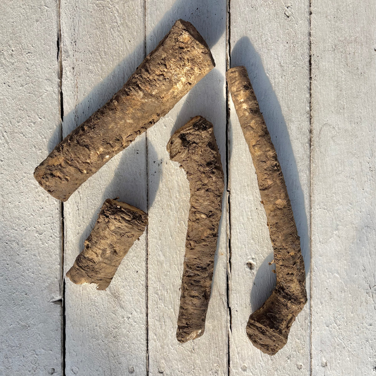 Horseradish Bare Root (Sold in Packs of 4)