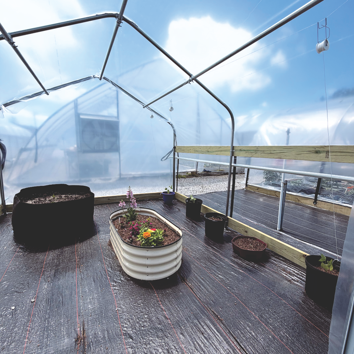 10' Affordable Dakota Greenhouse Kit