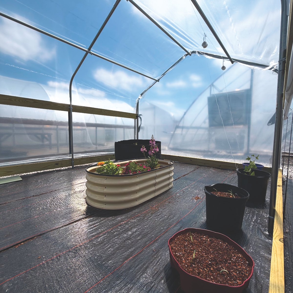 10' Affordable Dakota Greenhouse Kit
