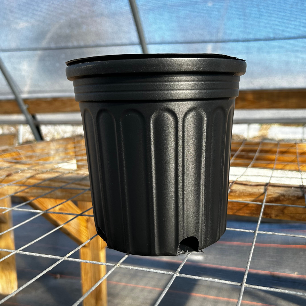 gallon planter pots 1 Gallon Trade Black Nursery Pots