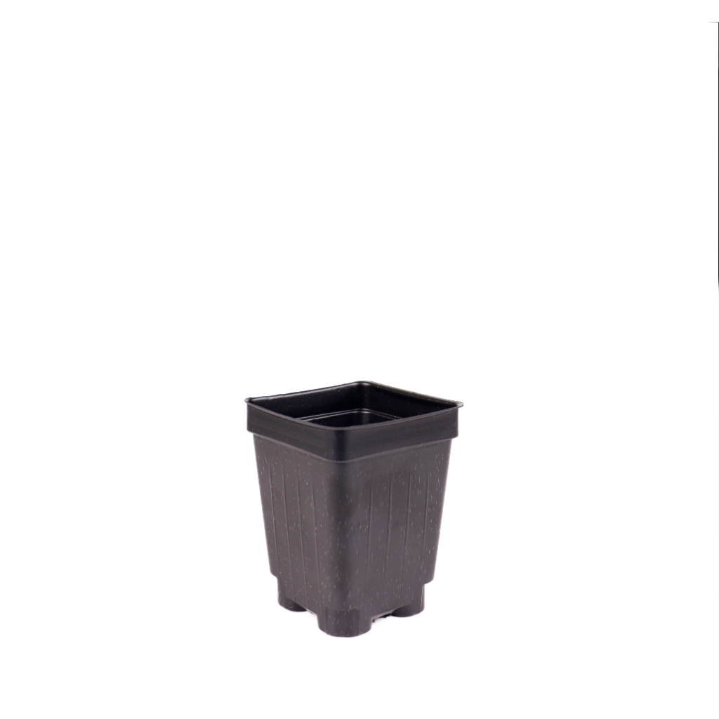 2.5&quot; Black Deep Square Pots - P64