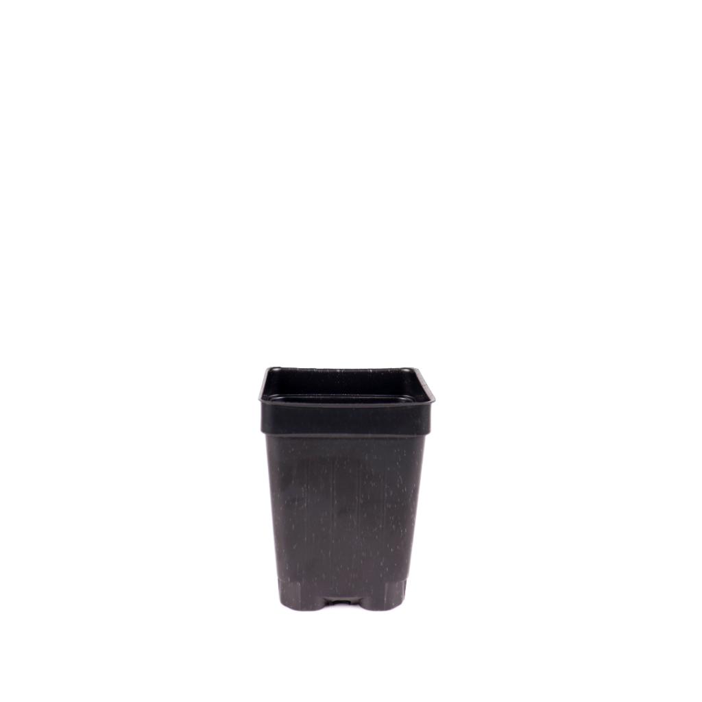 plant pots black 2.5" Black Deep Square Pots