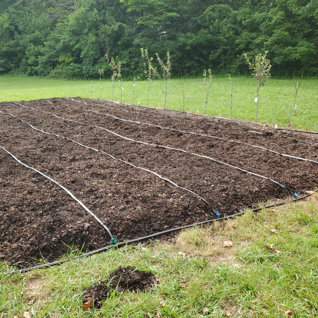 Junior Master Gardener Kit - 10 Row