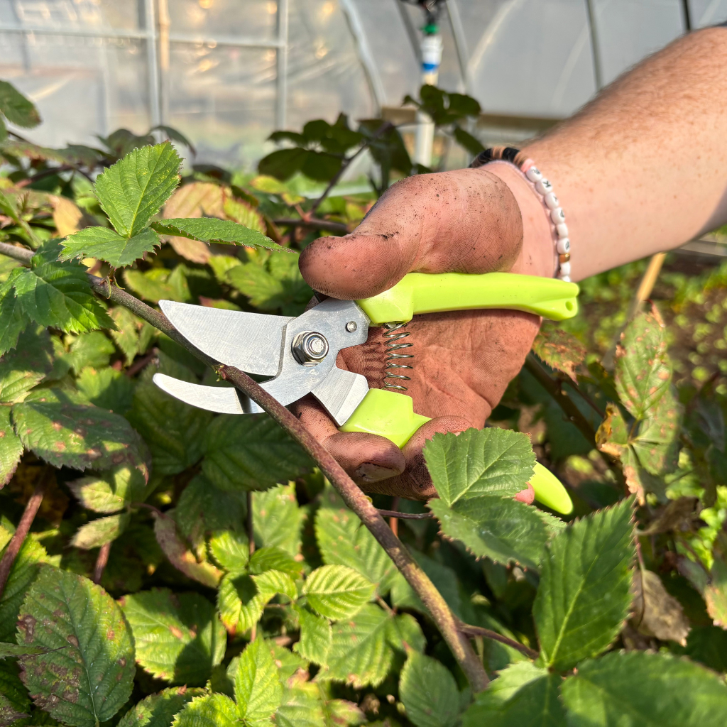 Gardening Shears