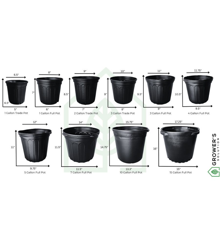 Nursery Container Size Chart