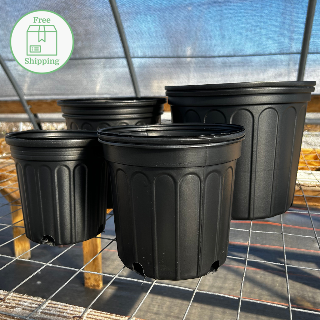 3 Gallon Trade Black Nursery Pots