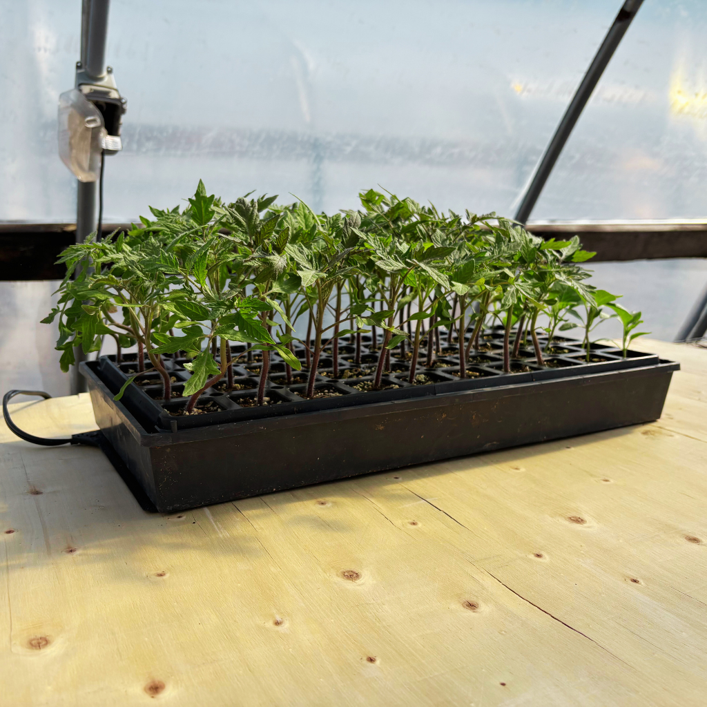 1 Tray Seedling Heat Mats