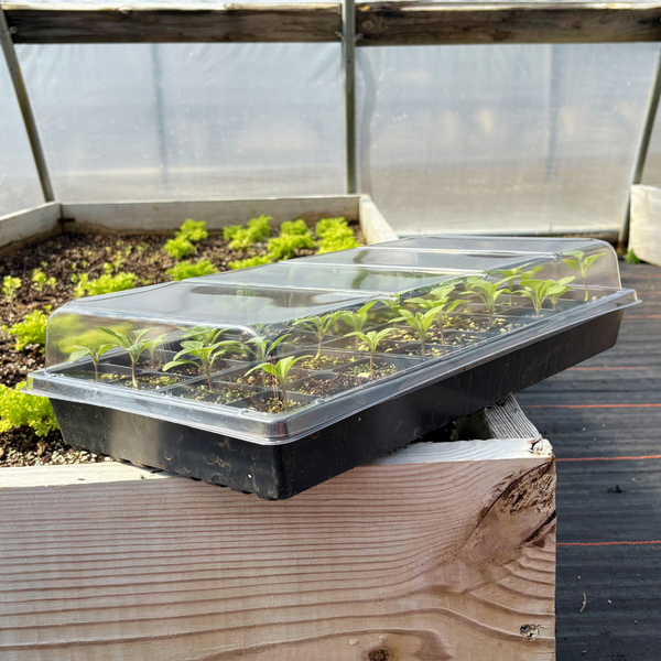 Humidity Domes - Grower's Solution